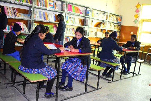 Students using the school library